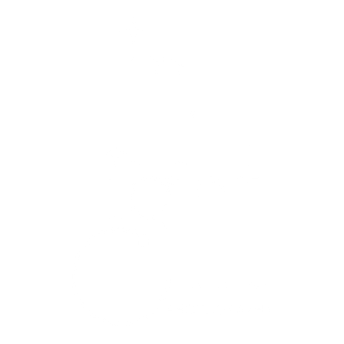 In Light Photography