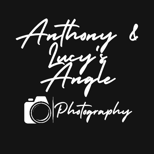 Anthony & Lucy's Angle Photography