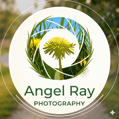 site-logo