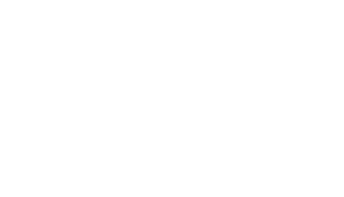 Féline David Photography