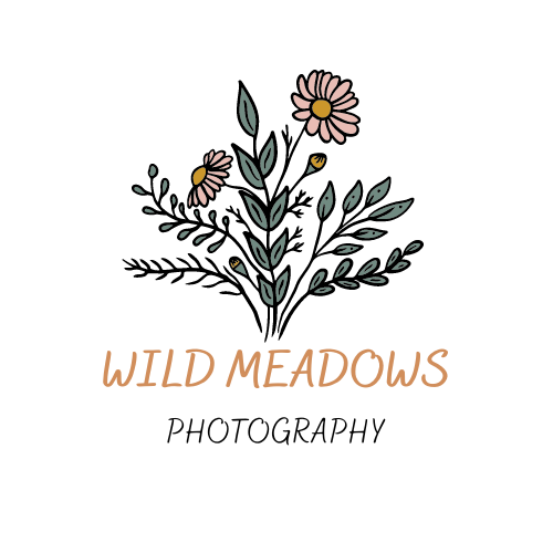 Wild Meadows Photography