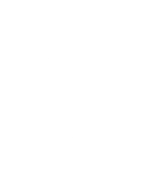 Chapter 2 Media