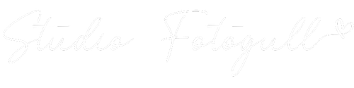 Studio Fotogull
