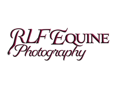 RLF Equine Photography
