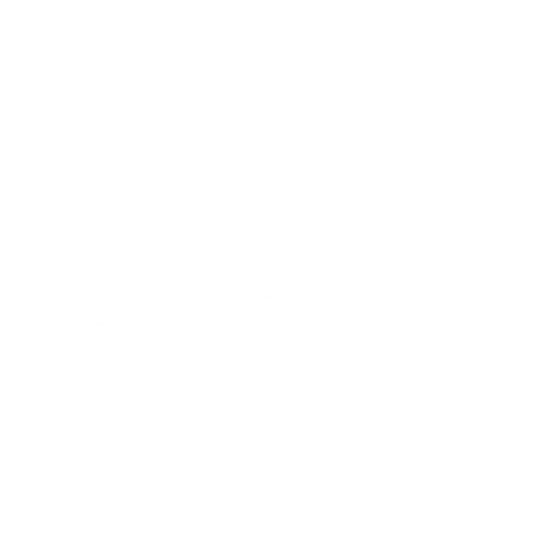 Tell it Again Photography