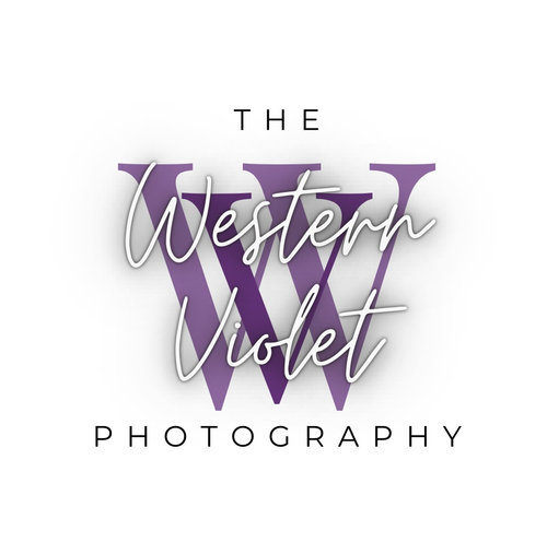 The Western Violet Photography