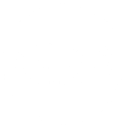 Wild Child Photography