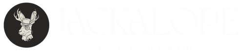 site-logo