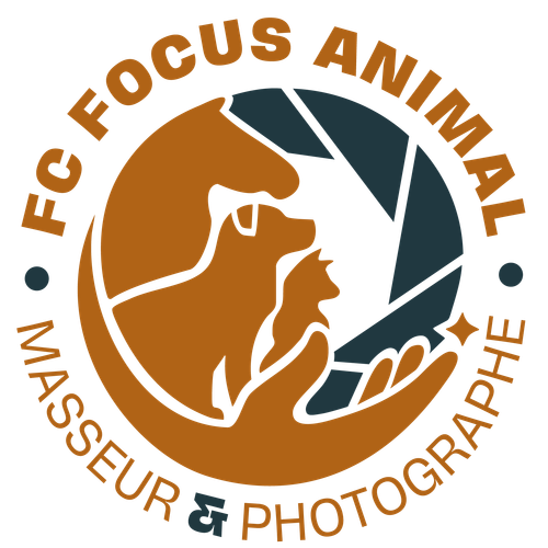 FC FOCUS ANIMAL