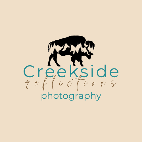 Creekside Reflections Photography