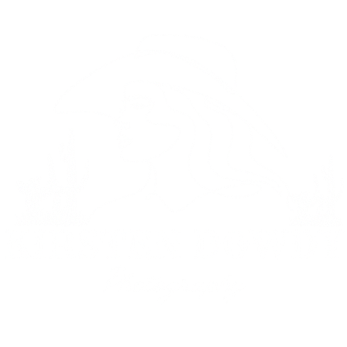 Kirsten Dowdy Photography