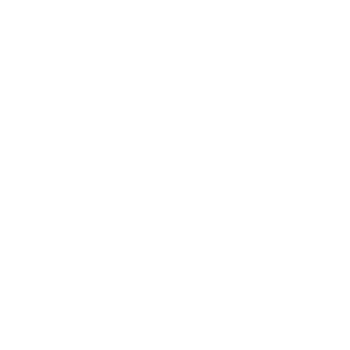 Marisol Guzman Photography