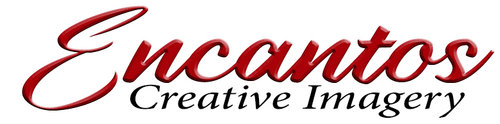 site-logo