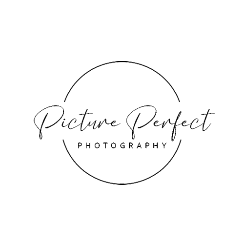 Picture Perfect SWFL