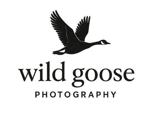 Wild Goose Photography