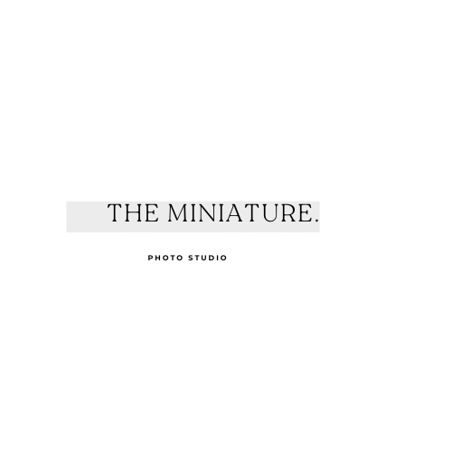 THE MINIATURE PRO