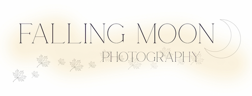 Falling Moon Photography