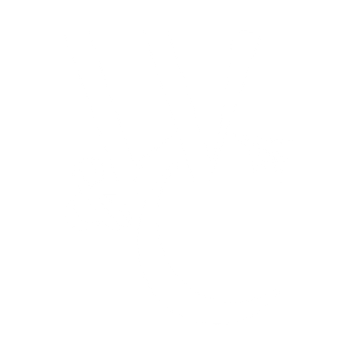 Willow & Cherry Studios