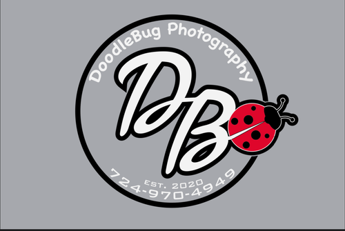 Doodle Bug Photography