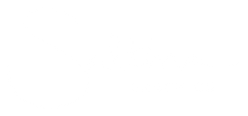 Saltina Graphics