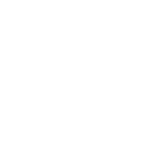 Shannon Chambers Photography