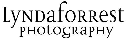 site-logo