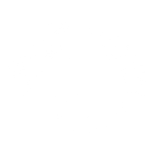Les Petits Moments Photography