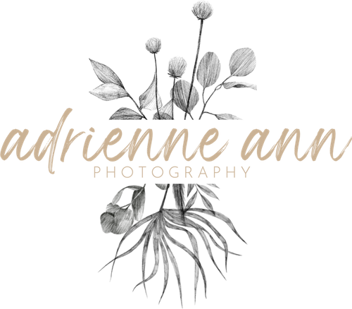 adrienne ann photography
