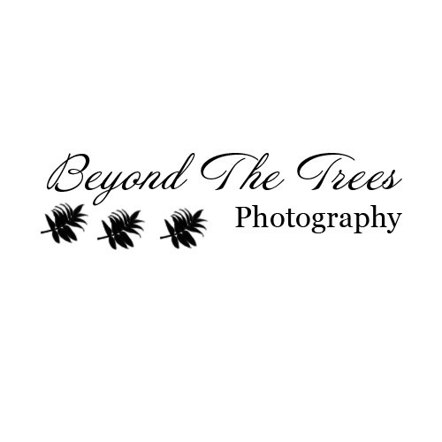 site-logo