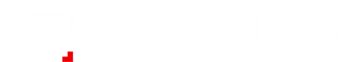 site-logo