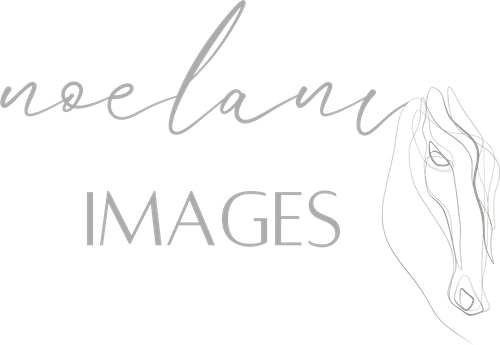 Noelani Images