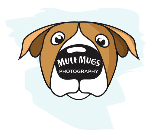 Mutt Mugs Photography