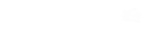 site-logo
