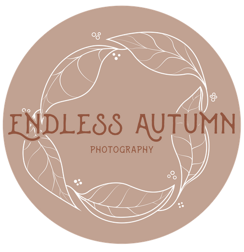 Endless Autumn Photography