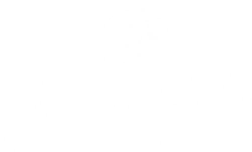 Jessica Villella Photography