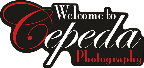 CepedaStudio