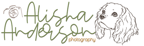 Alisha Anderson Photography