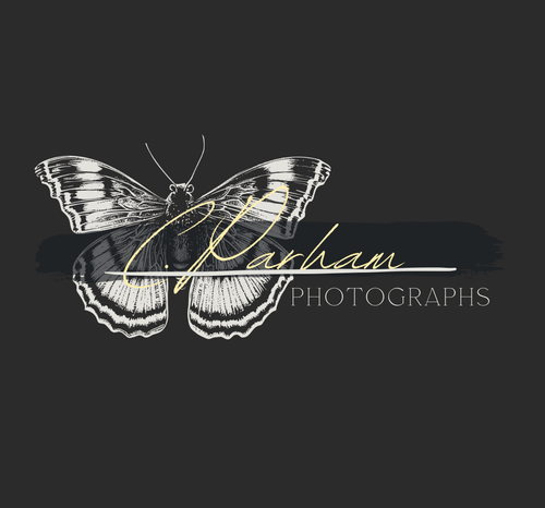 site-logo