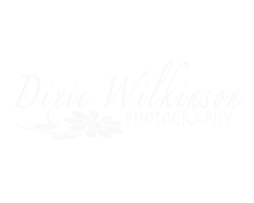 Dixie Wilkinson Photography