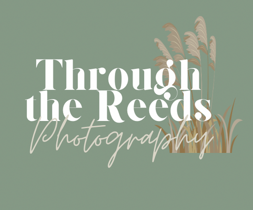 Through the Reeds Photography