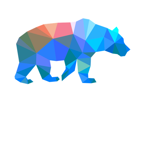Bear Photography South West