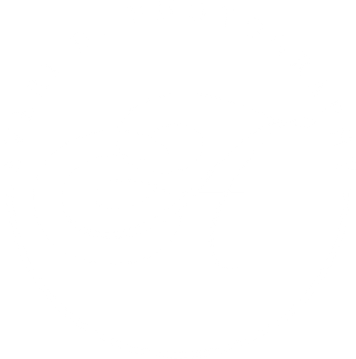 Averi D. Photography