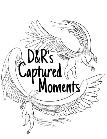 D&R's Captured Moments