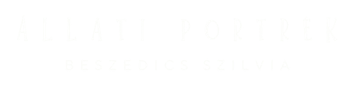 Állati portrék