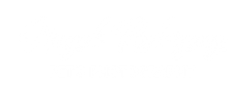 Nayeli Rodríguez Pet's Photography