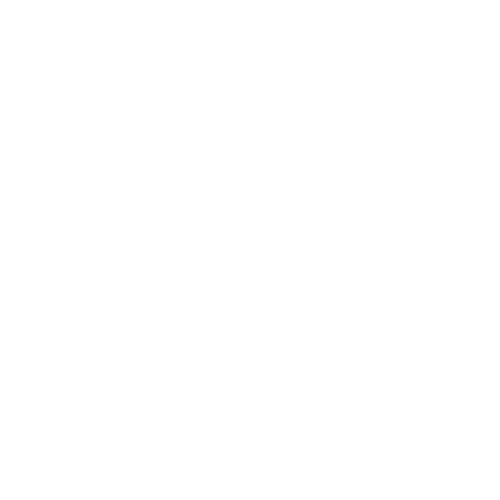 Pivot Studio