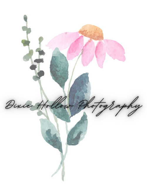 Dixie Hollow Photography