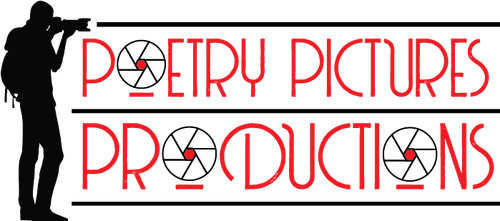 PP PRODUCTIONS LLC.