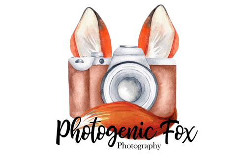 Photogenic Fox Photography