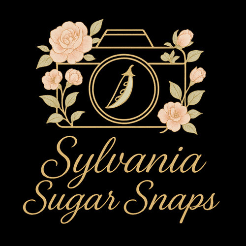 site-logo